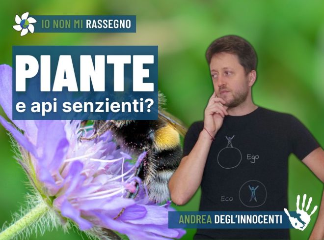 INMR Copertina per homepage smrk 9