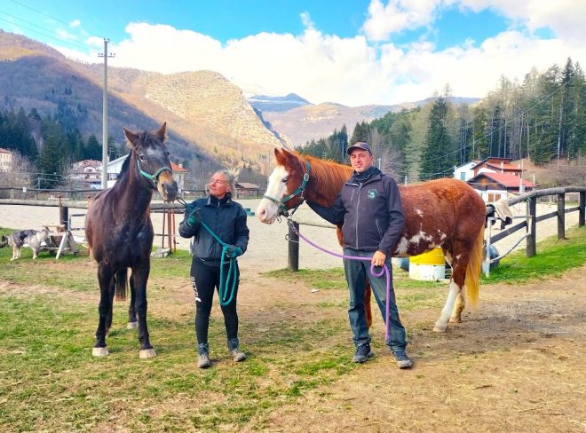 Ilcavalloelamontagna cavalli