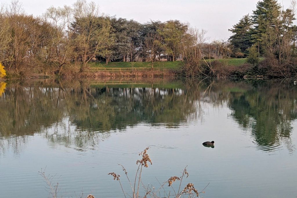 Parco Pellerina1