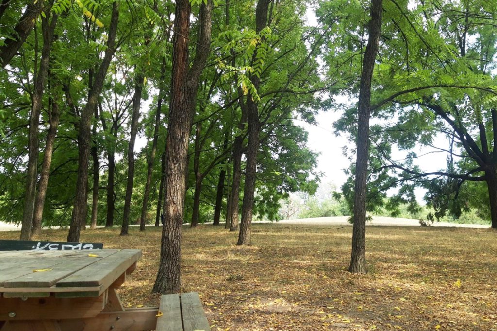 Parco Pellerina5