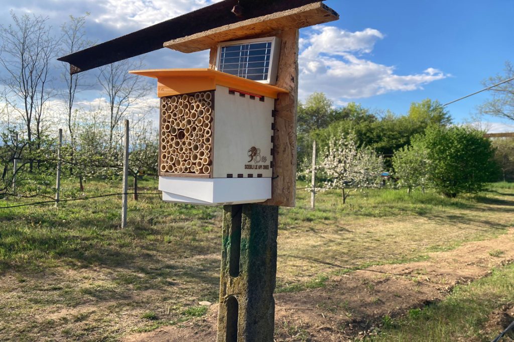 3Bee