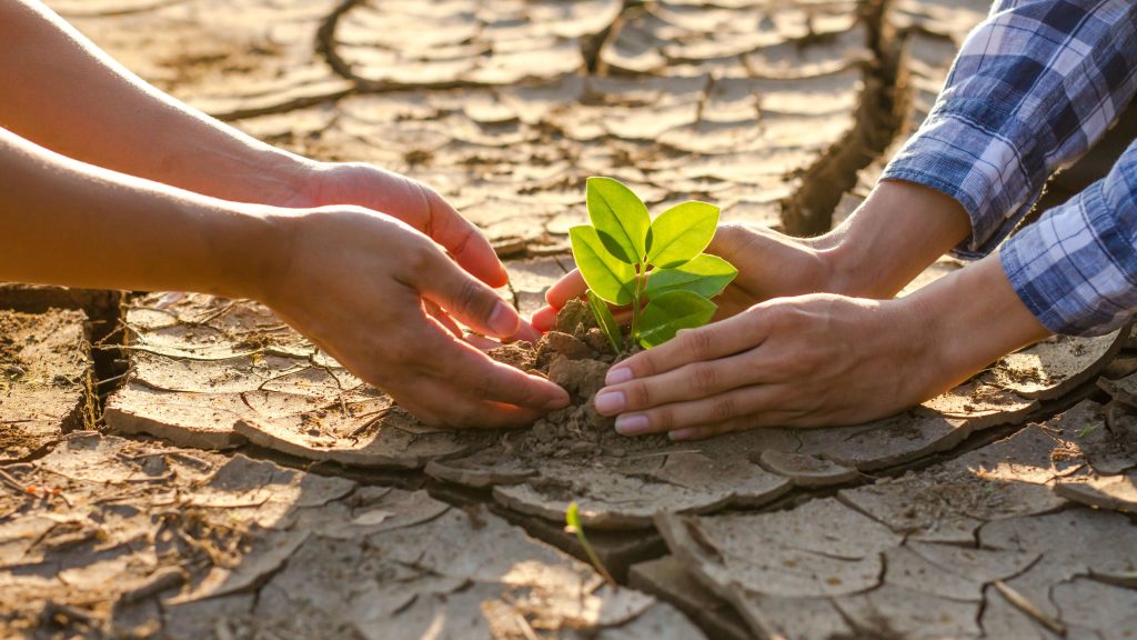 clima informazione costruttiva