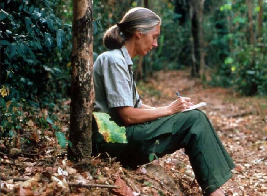 jane goodall 1