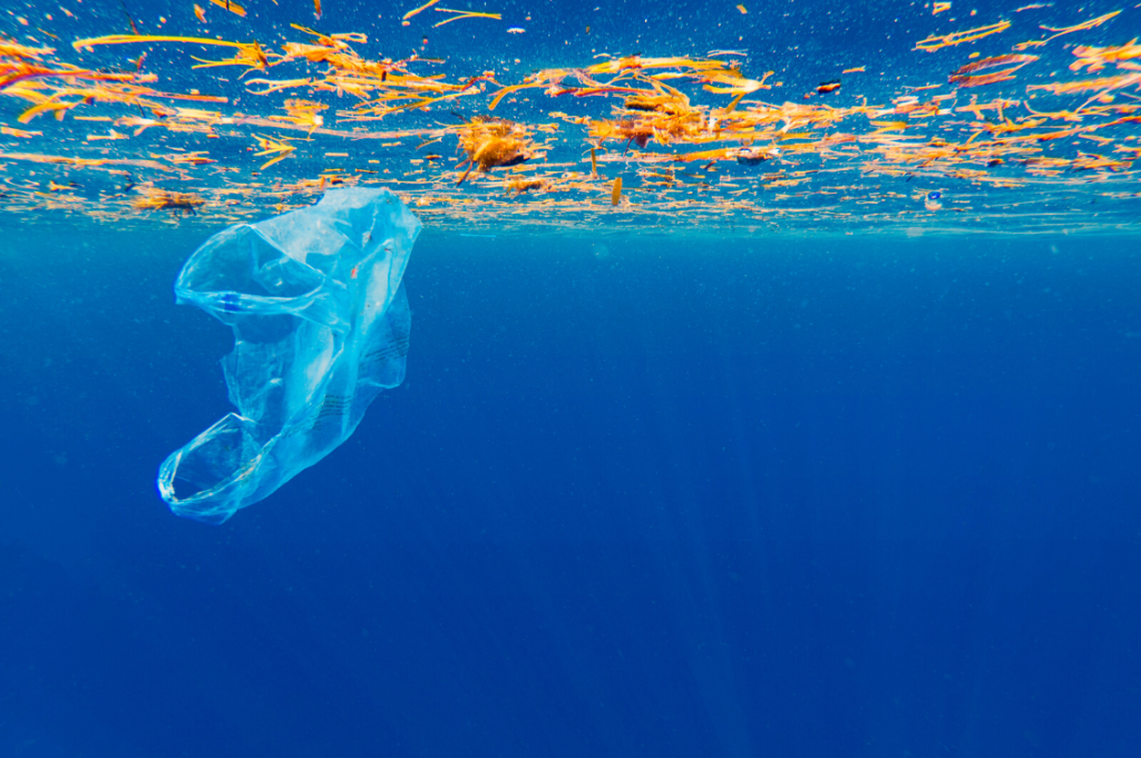 mar ligure plastica