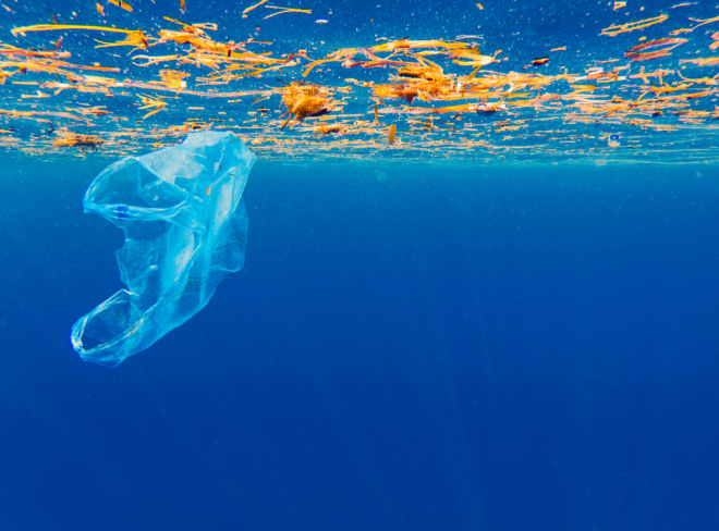 mar ligure plastica