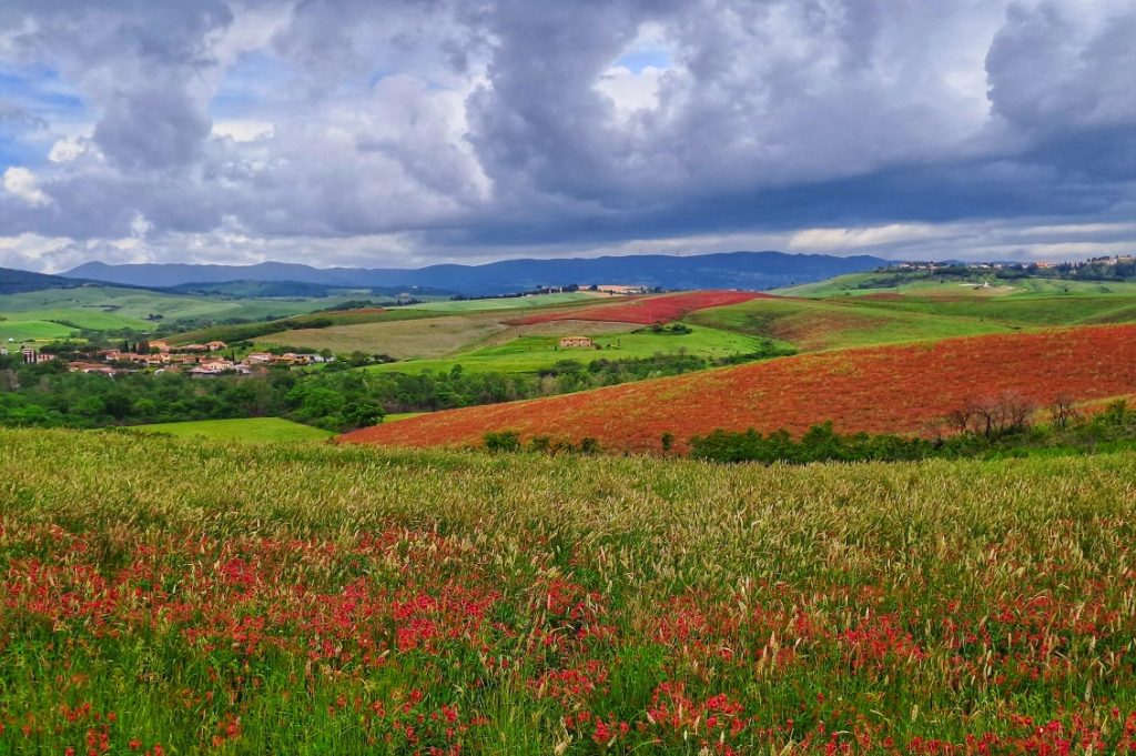 agro ecologia