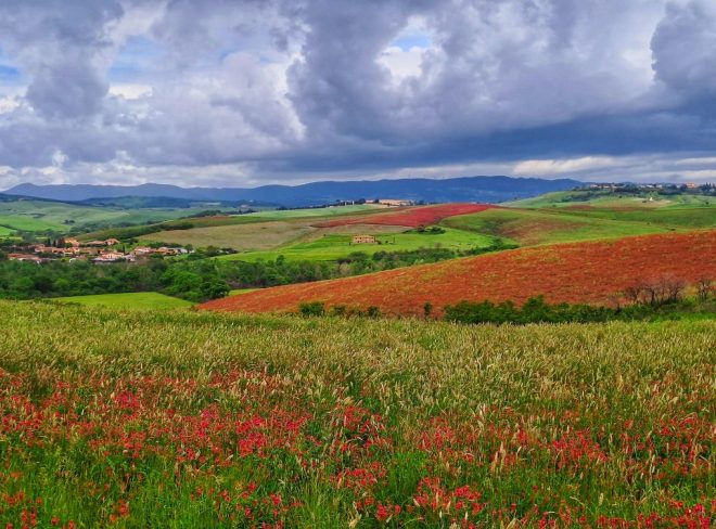 agro ecologia