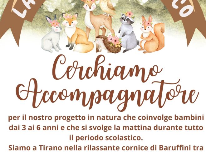 cerchiamo accompagnatore