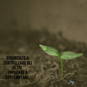pianta controllare 300x300 1