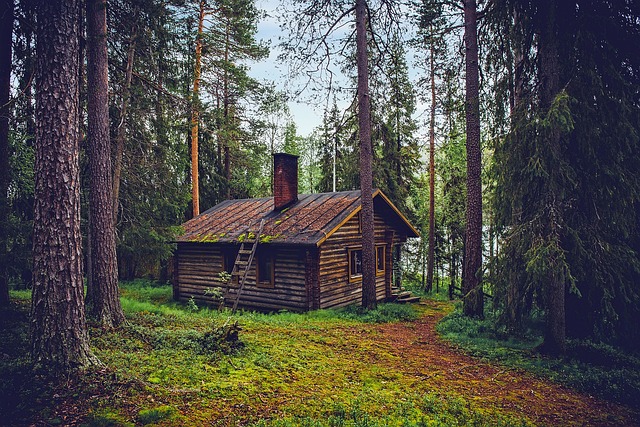 log cabin 1886620 640