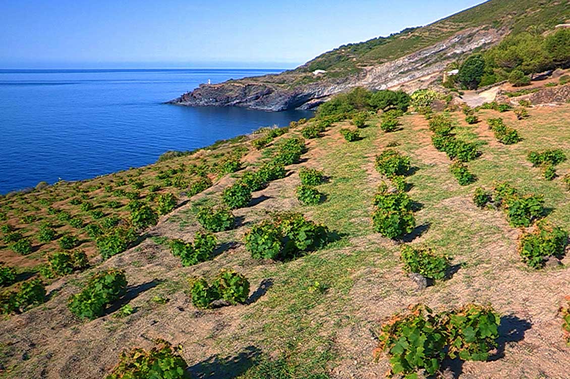 pantelleria 1 1