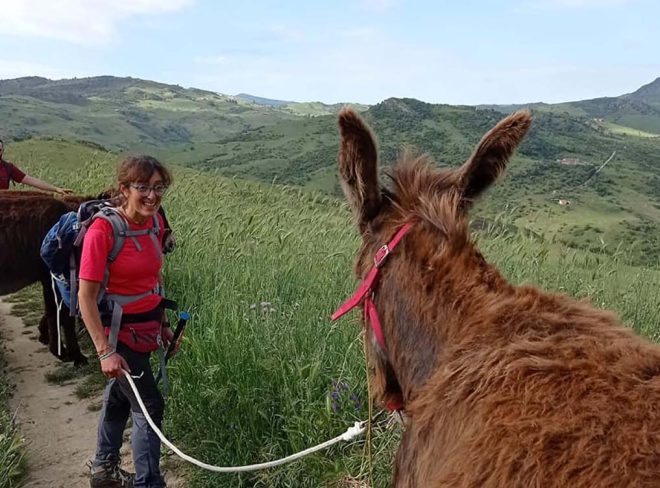 Stefania Greco e la transumanza