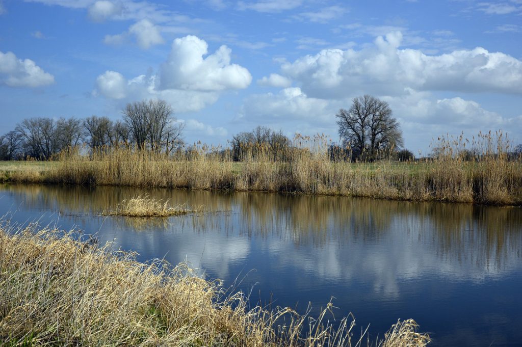 Fiume Po1