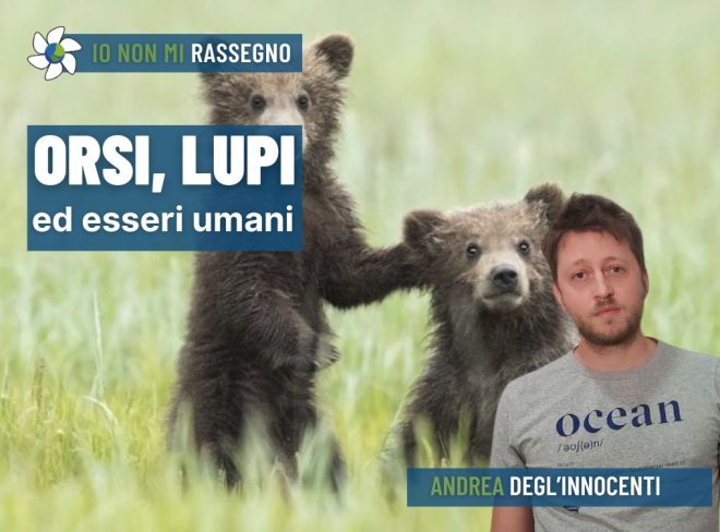 INMR Copertina per homepage smrk 12