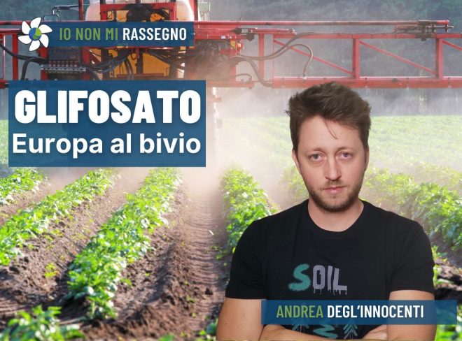 GLIFOSATO