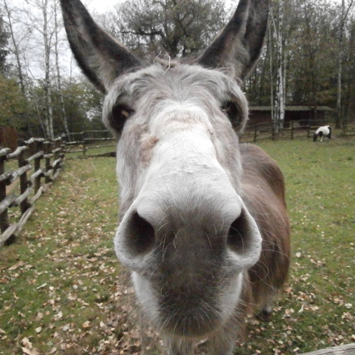 Nata Libera4