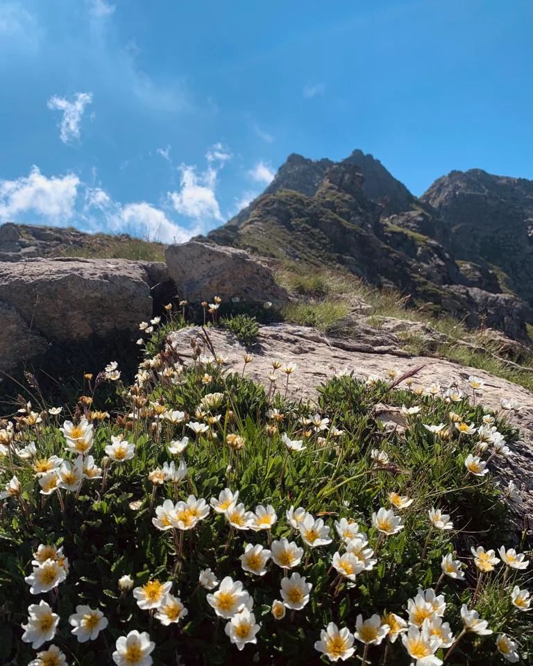 Rifugio Ospizio Sottile5