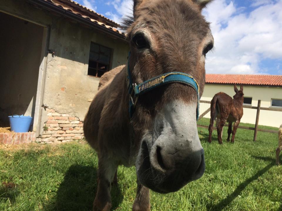 il telaio soffitta di bastiano 2