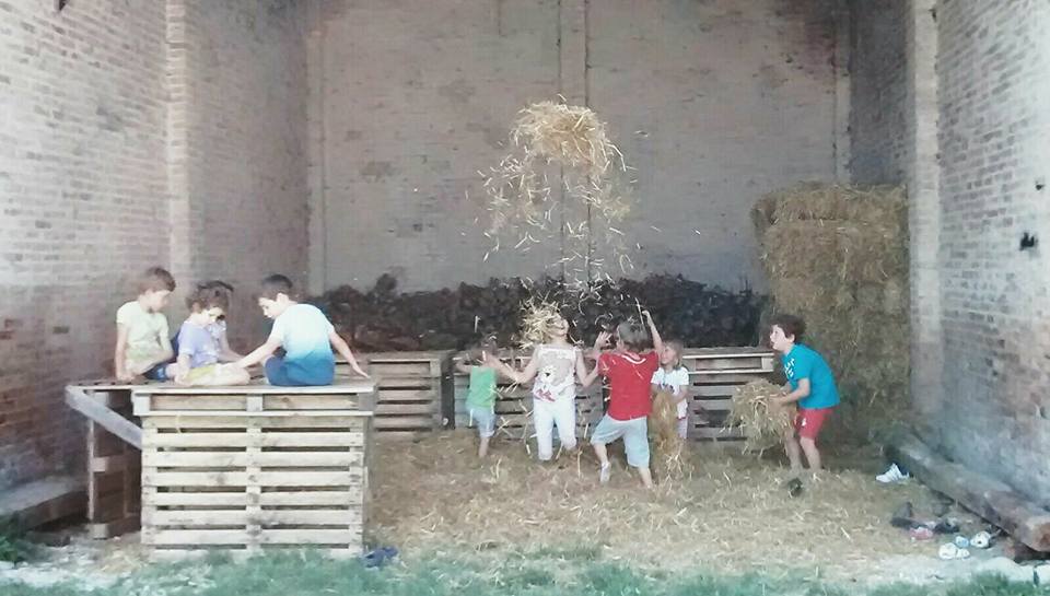 il telaio soffitta di bastiano 8