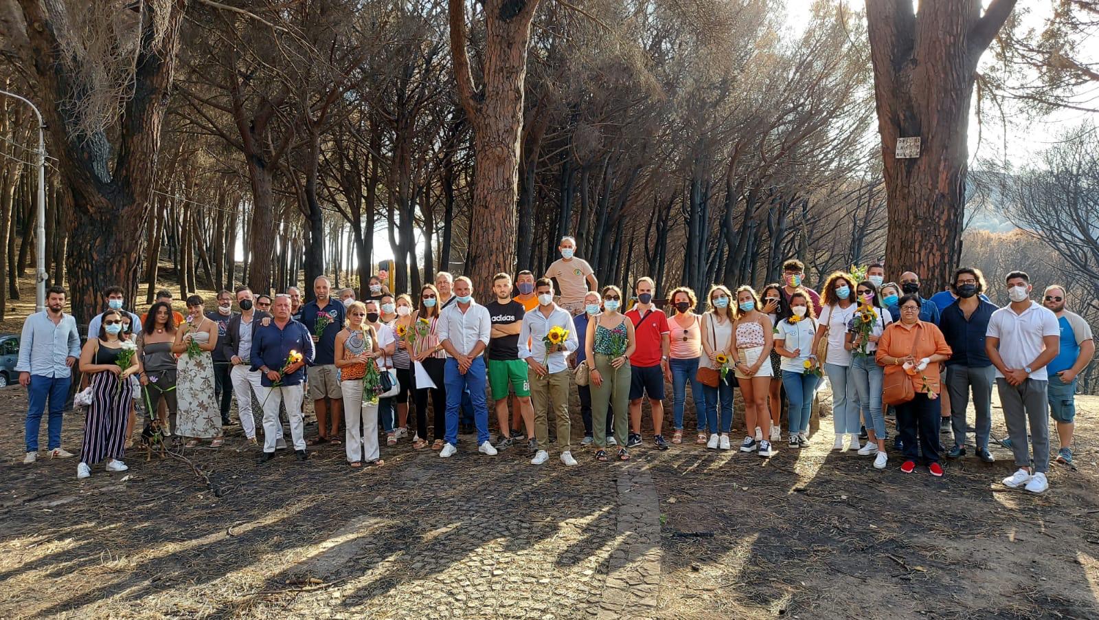 Boschi puliti2