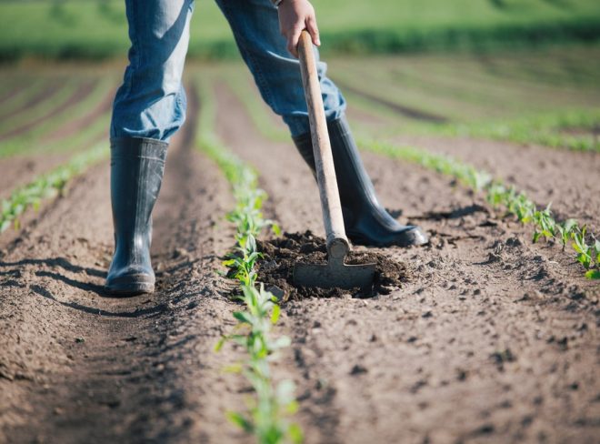Dipendenti aziende agricole
