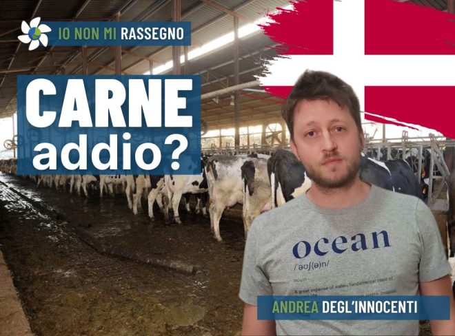 INMR Copertina per homepage smrk 32 2