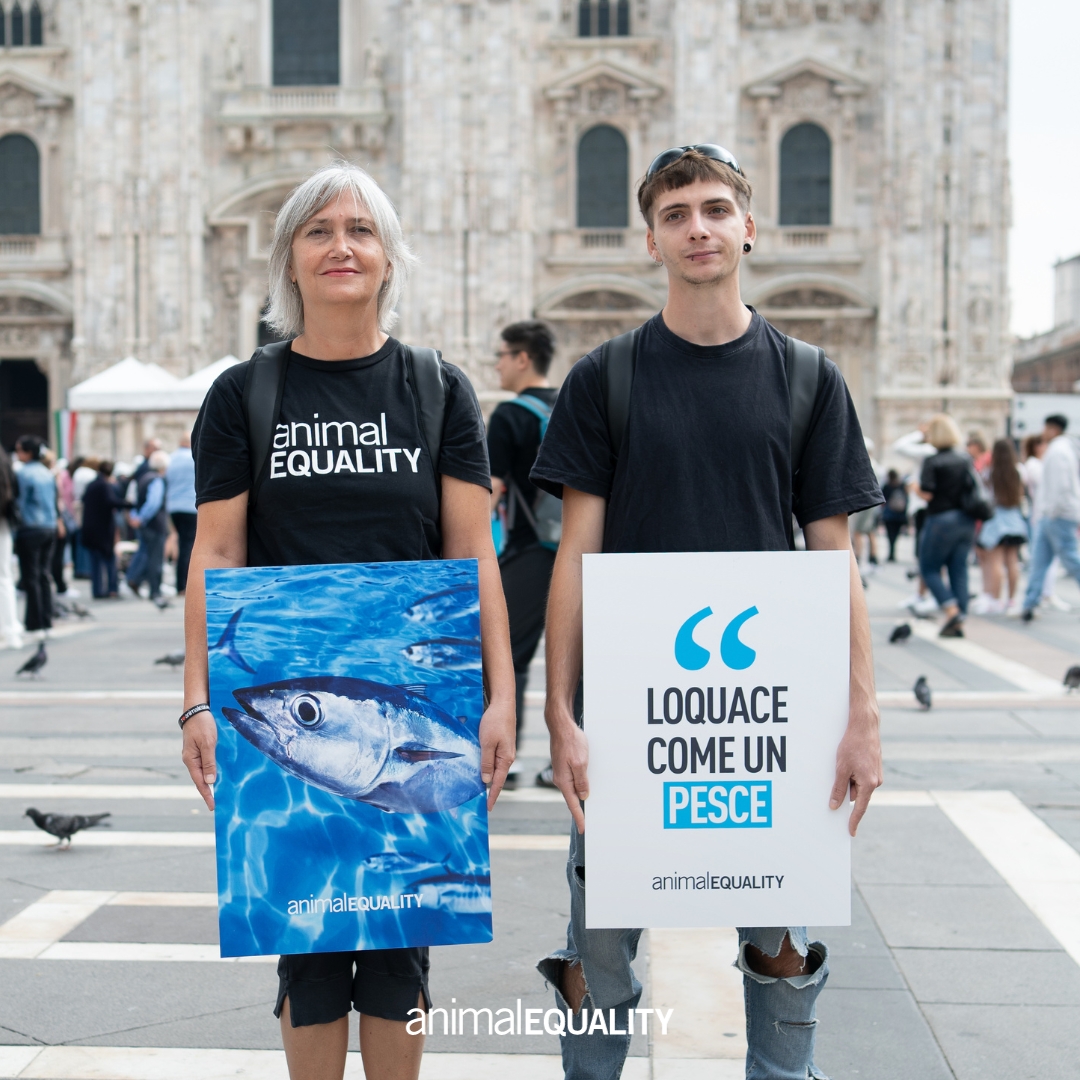 animal equality 2