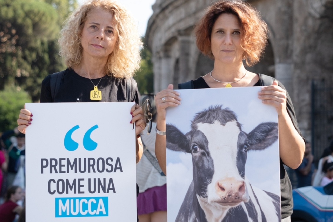 animal equality