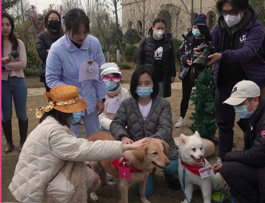 animalasia3