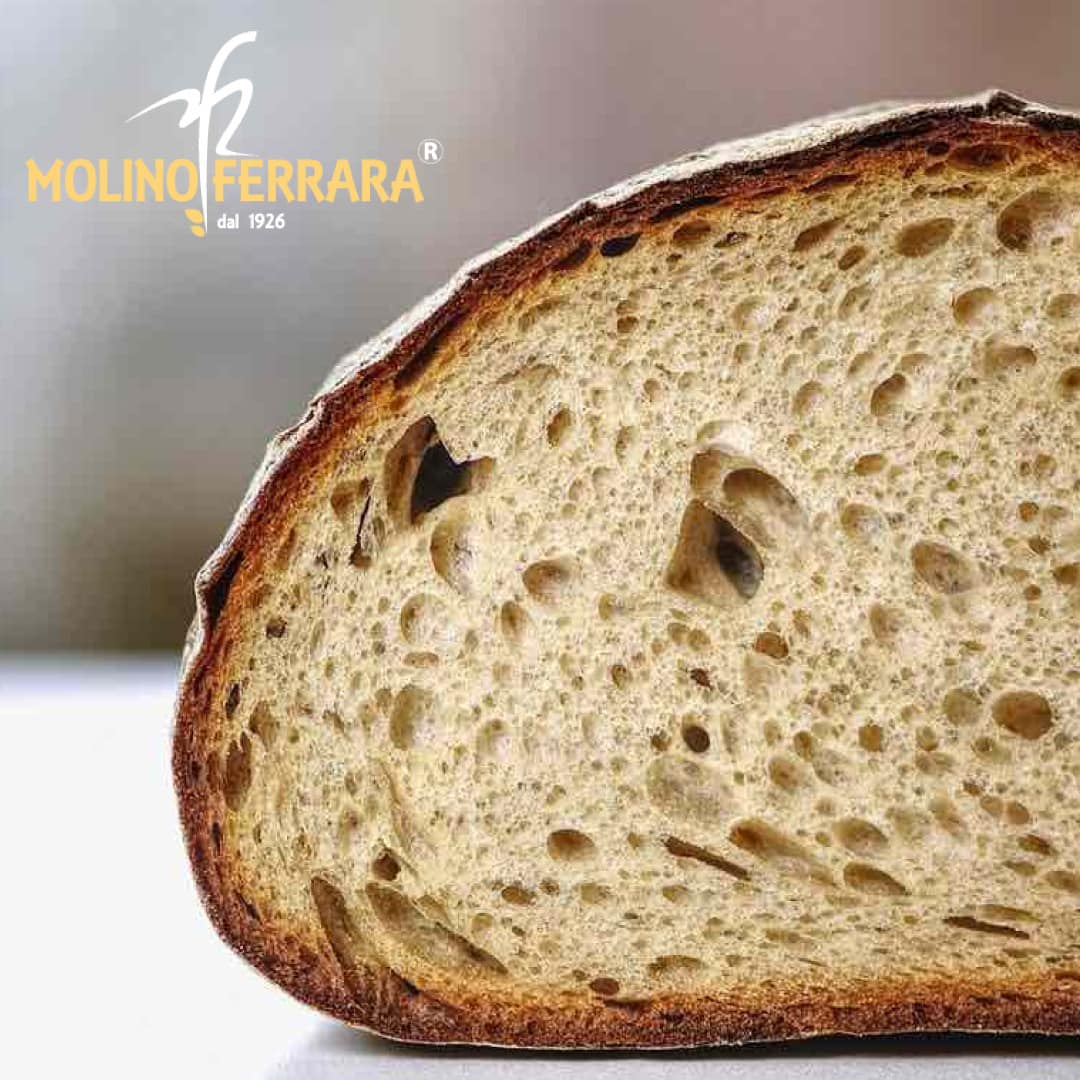 molino ferrara3