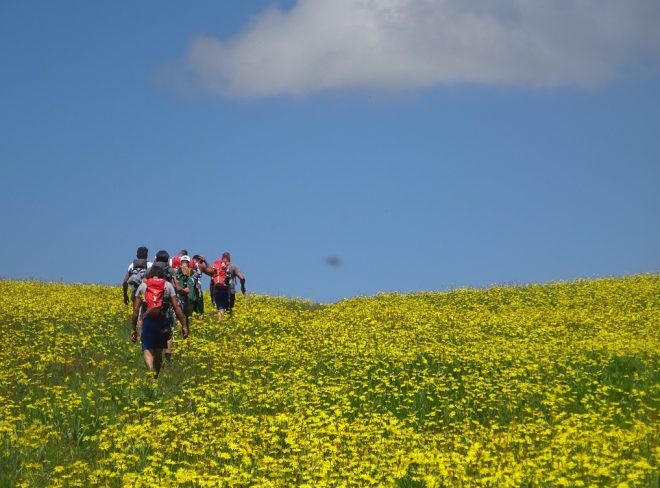montagna terapia 3