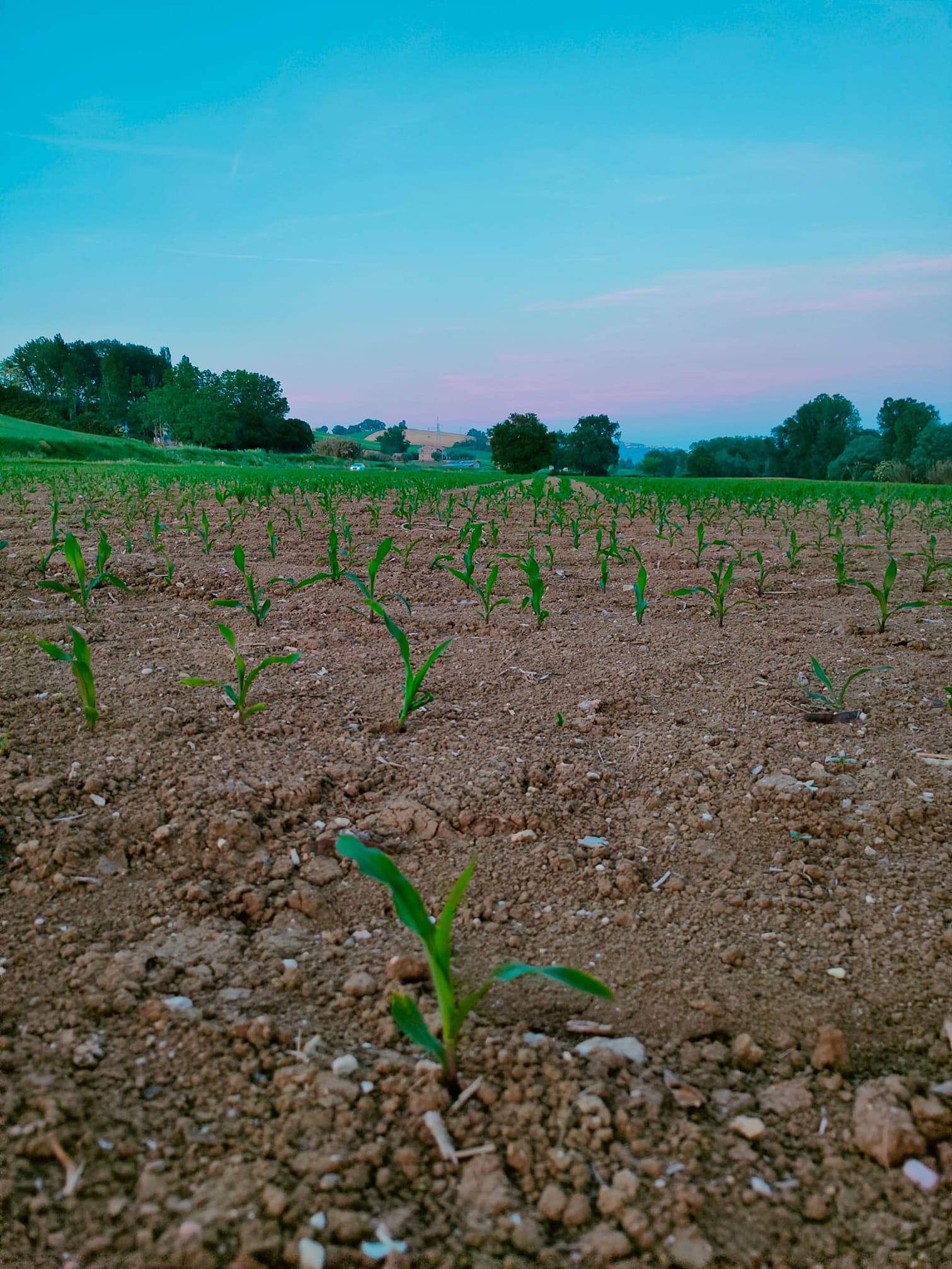 MarconiCapitani azienda3