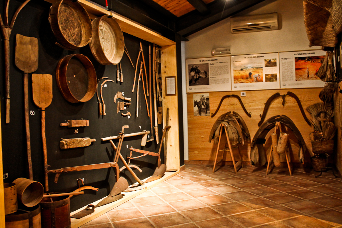 Museo della Memoria e del Territorio