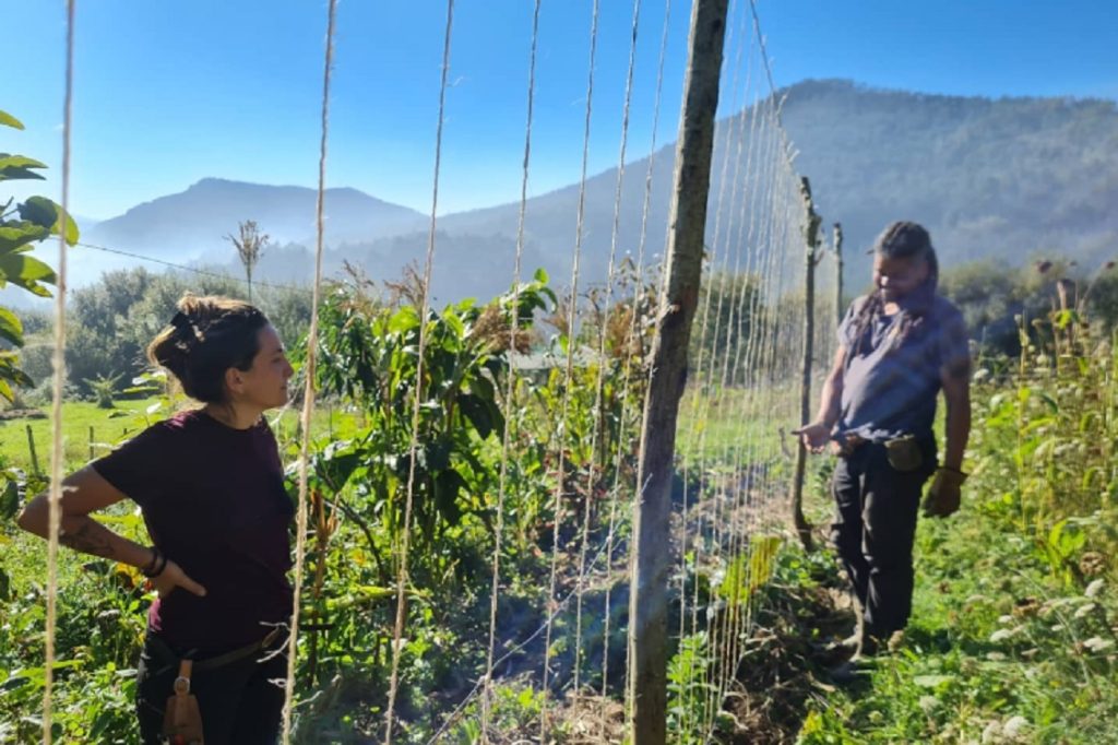 agroecologia1