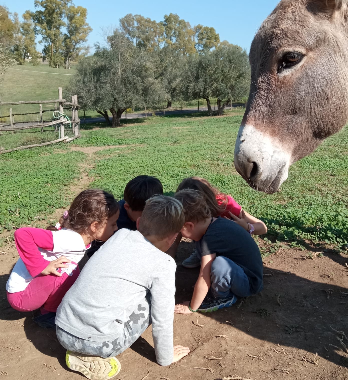 fattoria chiara e arianna 2