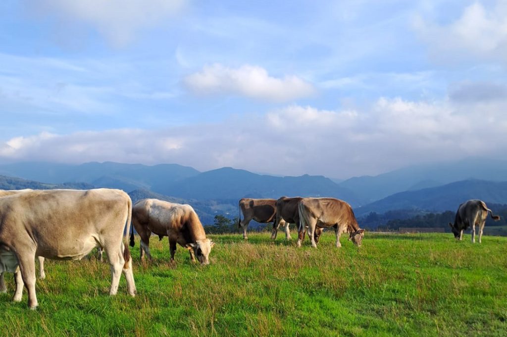 Cascina Battura Rossiglione
