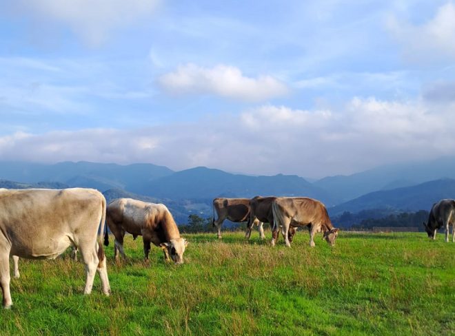 Cascina Battura Rossiglione