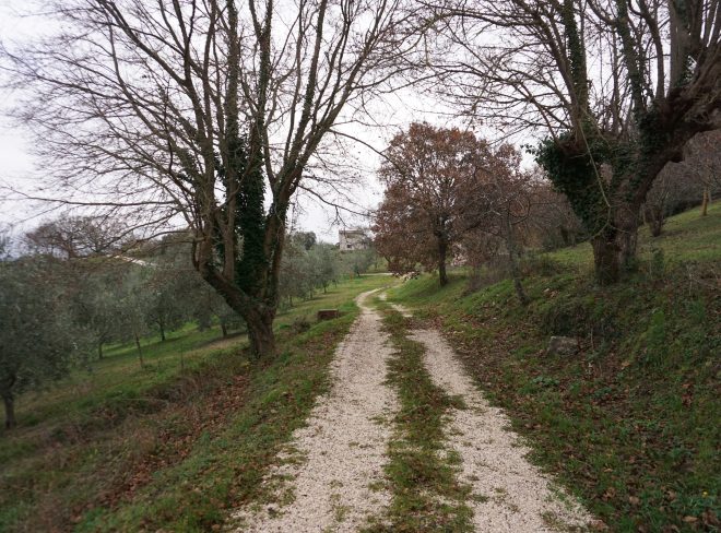 DSC00954