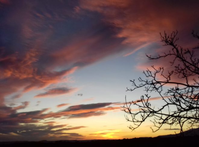 IMG 20191128 WA0000