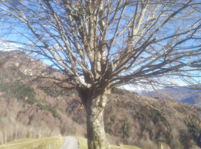IMG 20231126 095851