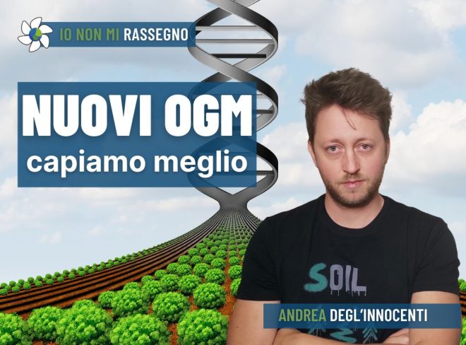INMR Copertina per homepage smrk 12