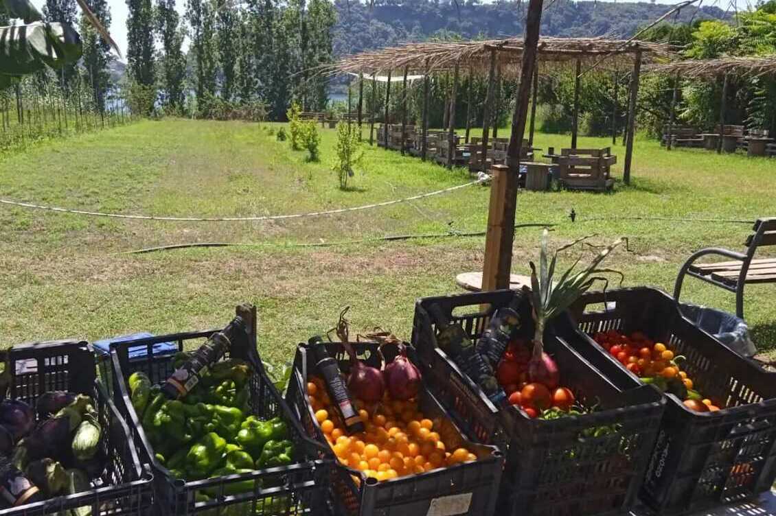 Il giardino dei Templari