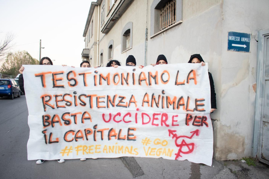SpazioAnimale2