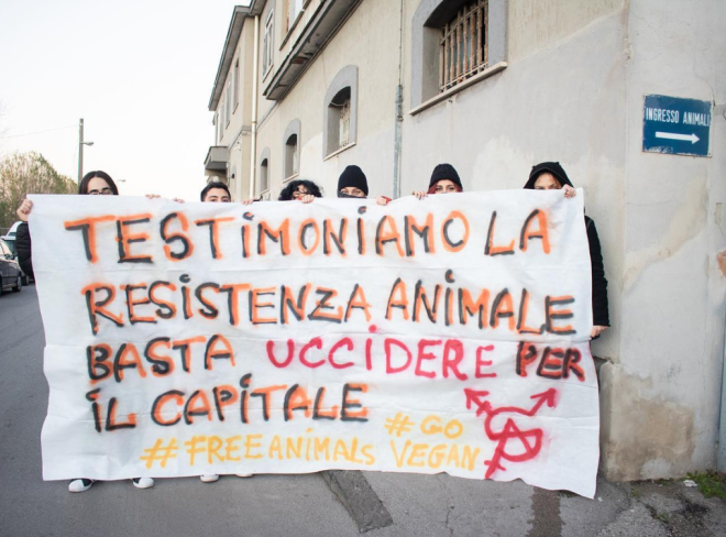 SpazioAnimale2