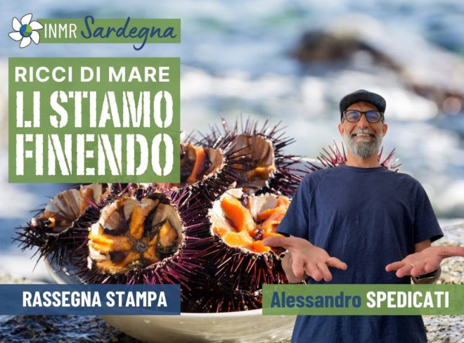 ricci di mare