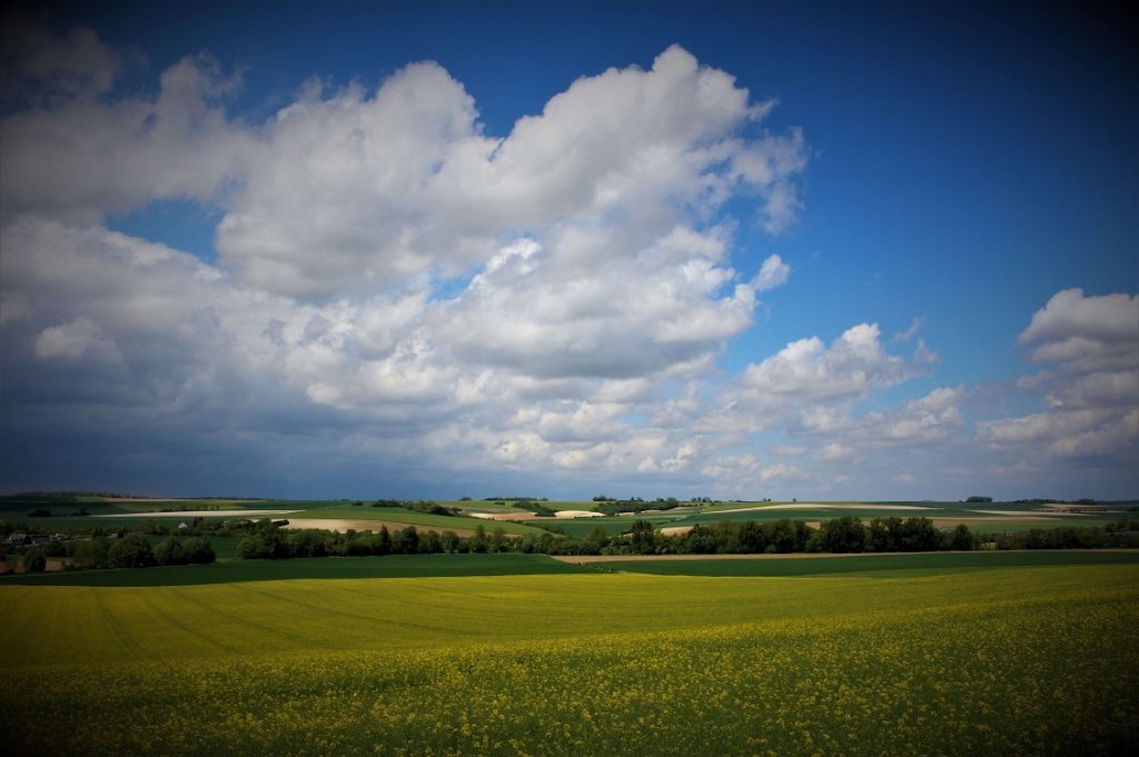 via francigena 1