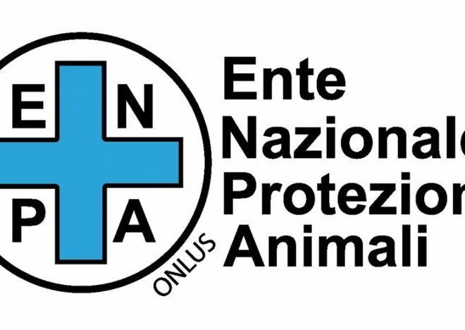 20192251207