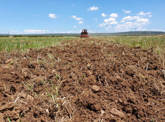 agricoltura