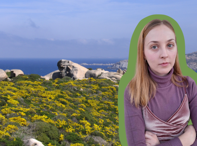 HEADER INMR 8