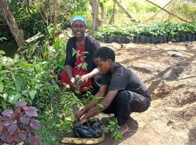 Piantare alberi nel mondo_Ecofactory: Judith in Uganda